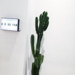 -FAB HAIR CLUB
