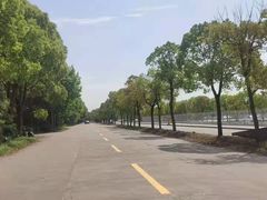 -胜华驾校·小猫学车(银都店)