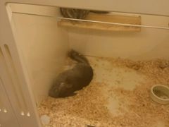 -龙猫仔乐园(惠福东路店)