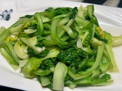 鸡油炒生态小白菜-蔼若春.传承云南菜(金碧公园店)
