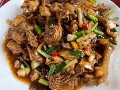 现杀果园鸡—黄焖鸡-生态苑农庄(十里画廊遇龙河店)