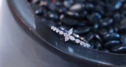 -VE DIAMOND·天然&培育钻石定制