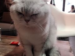 -MIKAKU(万达广场上海宝山店)