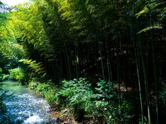 -天目湖涵田度假村