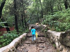 -阳台山自然风景区