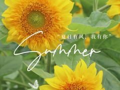 -国际非物质文化遗产博览园