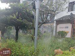 -头上红煨盐鸡·非遗院子餐厅