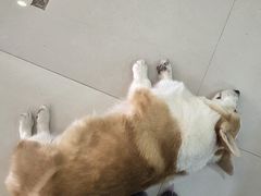 -平行世界·猫咖(首经贸店)