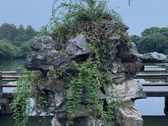 -西湖游船