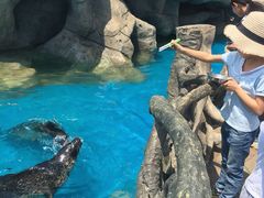 -华夏文旅海洋公园