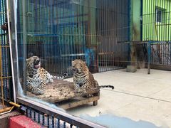 -荆州中山公园动物园