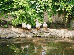 -丽泽山庄·生态怀柔菜·虹鳟鱼(红螺寺店)