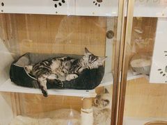 -老炮儿轰趴团建KTV桌游棋牌主题馆(五道口店（底商店))