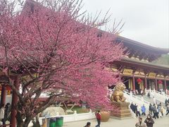 -庐山风景名胜区-东林大佛