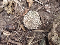 -龙坑生态保护区