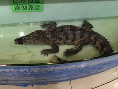 -海皇世家·私宴定制·鲜送到家(诸暨店)