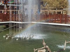 -呀路古热带植物园