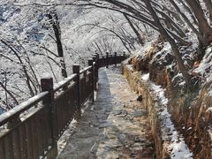 -藏山旅游风景区