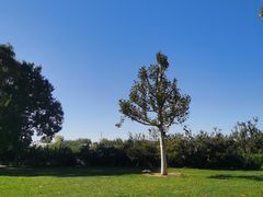 -意大利农场度假村