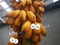 -东方鼎信农副产品交易中心
