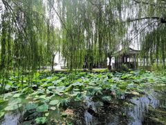 -观桥阁(锦溪店)