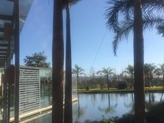 抚仙湖悦椿度假酒店-抚仙湖万达文华酒店