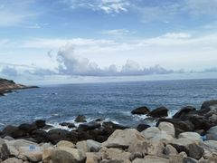 -广东惠东海龟国家级自然保护区