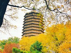 -玲珑塔公园