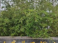 -九寨沟石锅鱼(沣峪口二十年店)