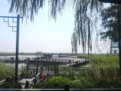 -太湖湖滨国家湿地公园-停车场