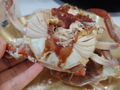 -春华海鲜城(广场西苑店)