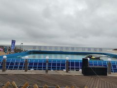 -日照灯塔风景区