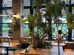 -gaga(金地威新中心店)