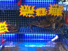 水产区-必点海鲜·鲅鱼水饺(鞍山西道店)