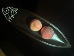 -深圳湾木棉花酒店