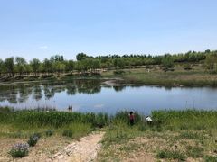-东郊湿地公园