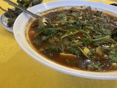 -胖大姐黄辣丁鱼庄(新津店)