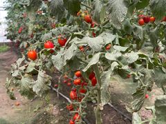 -兴芮温泉度假区