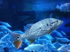 -成都浩海立方海洋公园