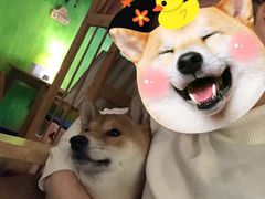 -啡语