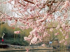 -安定门(地铁站)