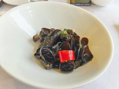 -骏莱海鲜鱼港(五角场店)