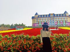 -百万葵园