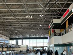 -米兰马尔彭萨国际机场