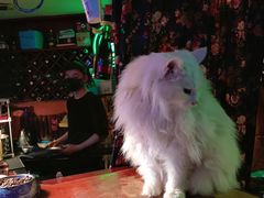 -南京天堂隔壁酒吧