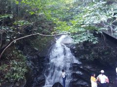 -藏龙百瀑风景区