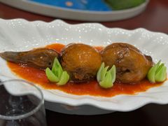 -丁老爷子苏香圆
