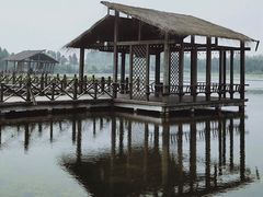 -溱湖国家湿地公园