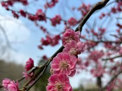 -南山风景名胜区