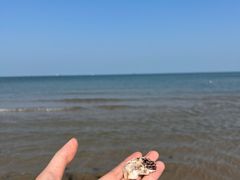 -海滨浴场